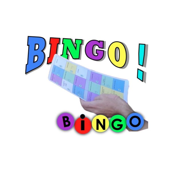 Animation mariage BINGO